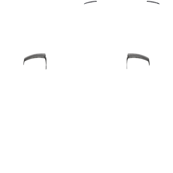 PF L1/R1 030 HexGaming