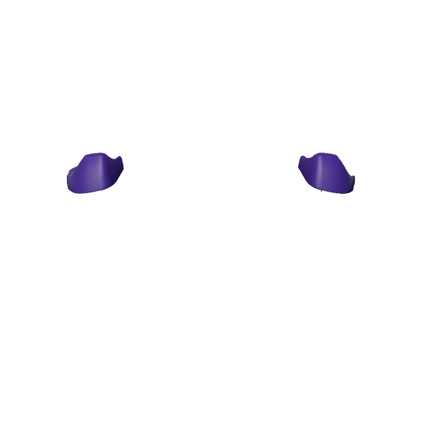 X1 LT RT