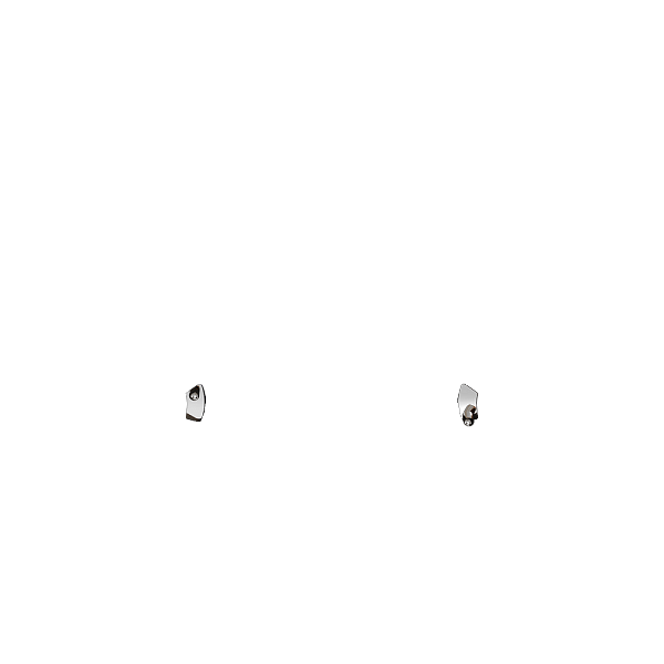 X1 Trigger Stop