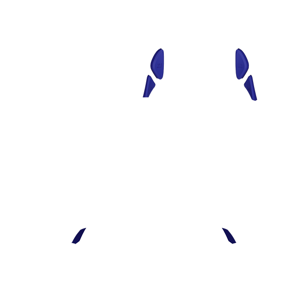 PF Phantom Back Button 123